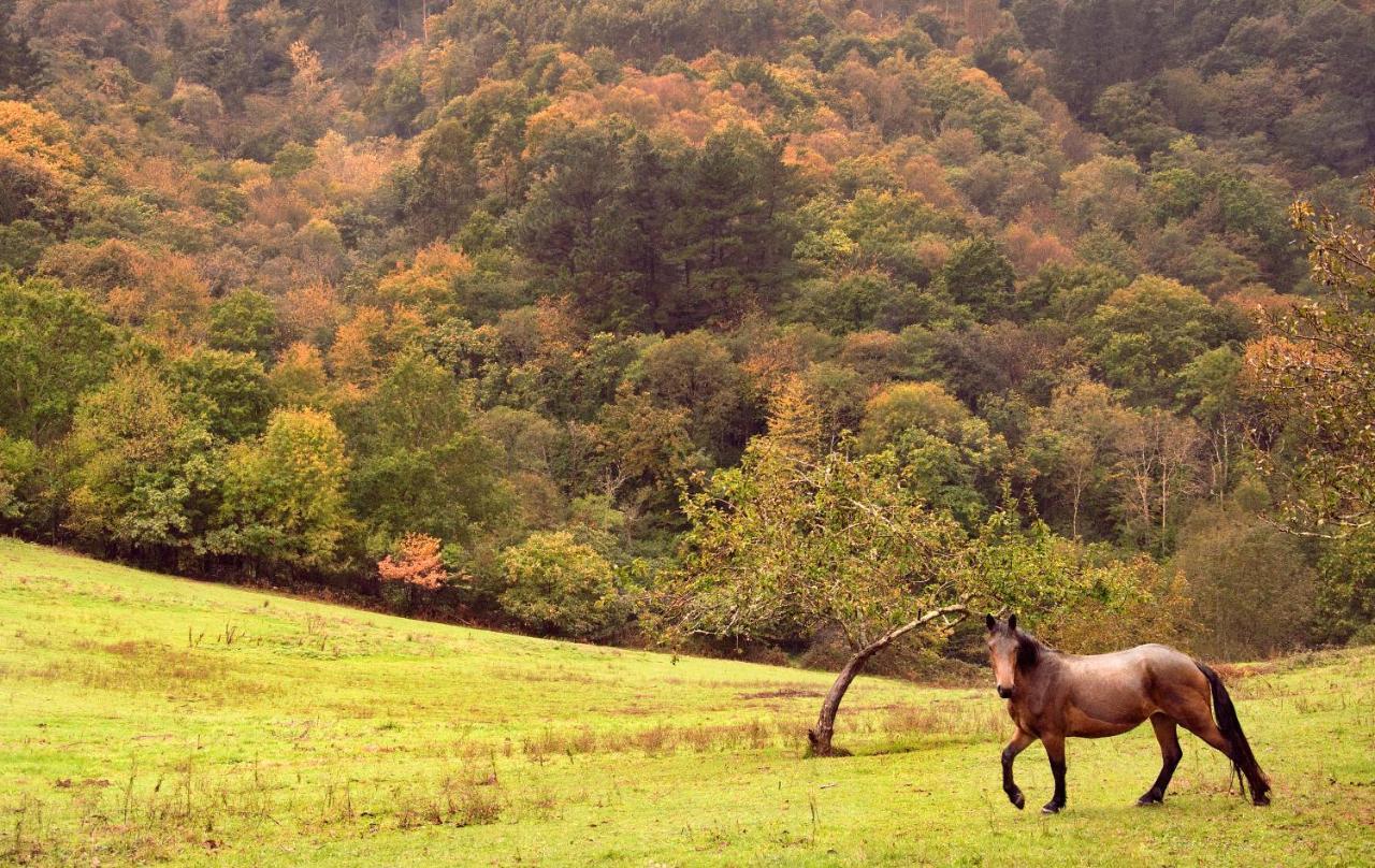 Cangas De Onis Casa Rural Vistas Y Jardin Peruyes Ngoại thất bức ảnh