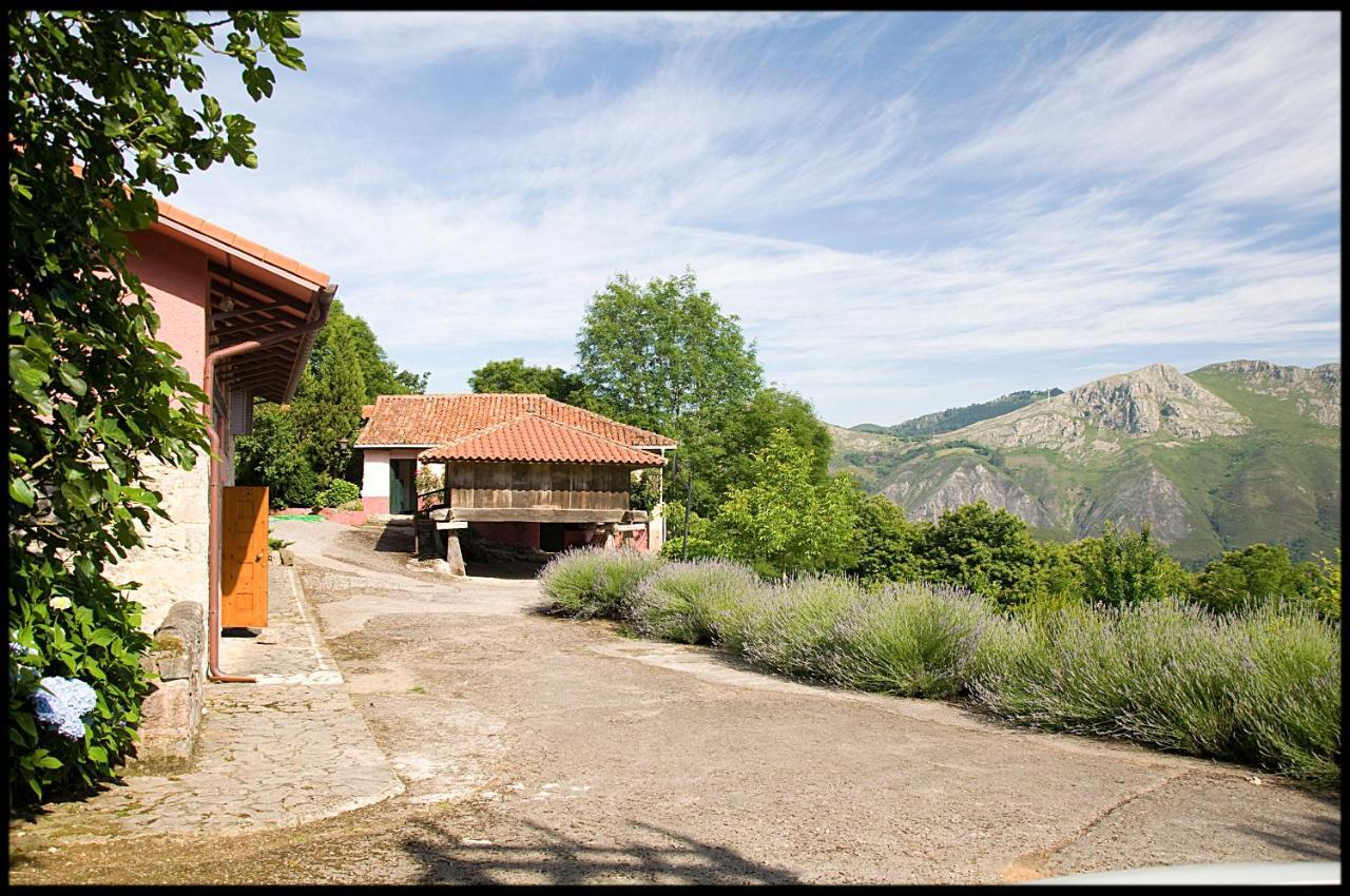 Cangas De Onis Casa Rural Vistas Y Jardin Peruyes Ngoại thất bức ảnh