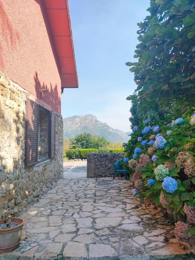 Cangas De Onis Casa Rural Vistas Y Jardin Peruyes Ngoại thất bức ảnh